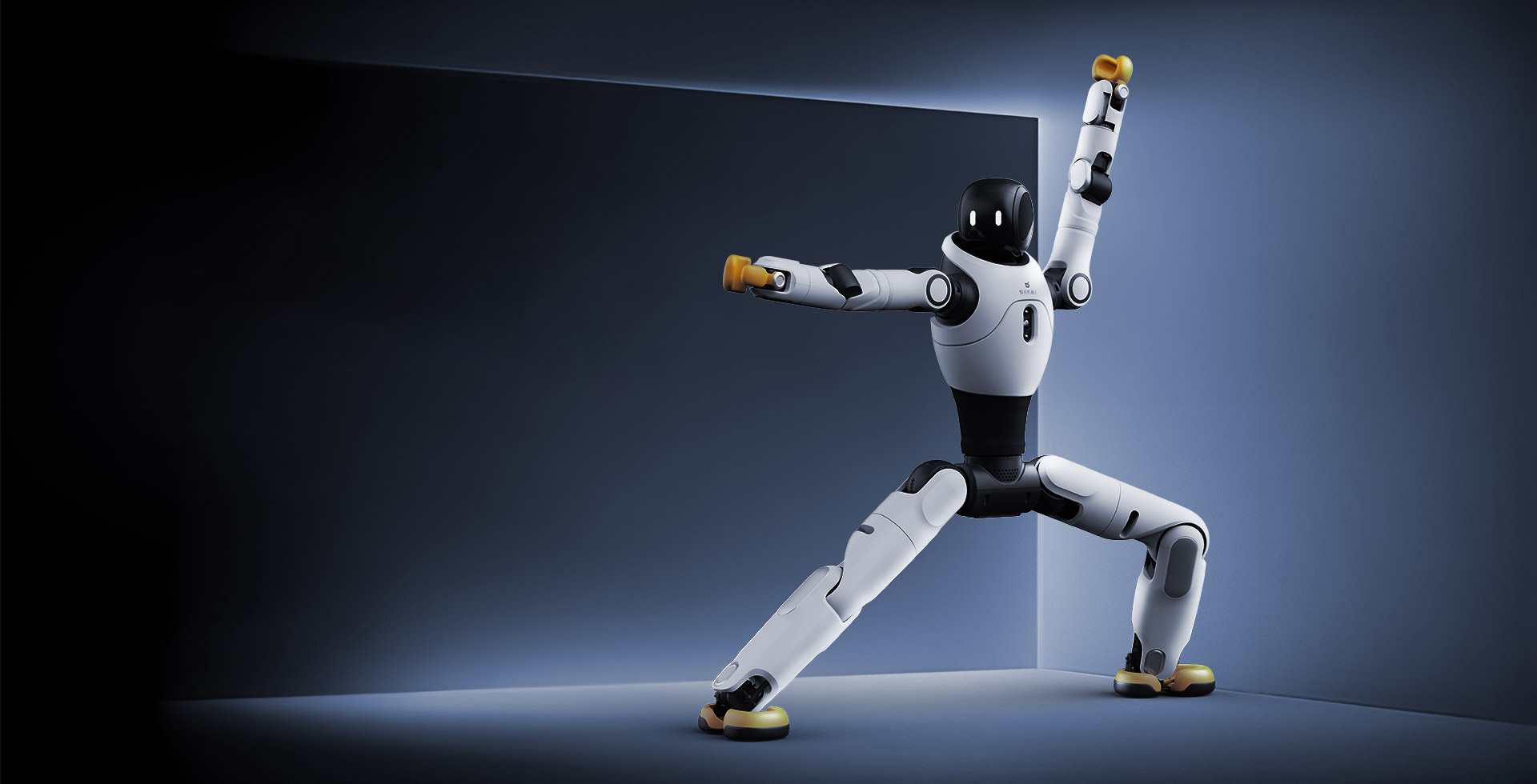 kaiyun开云灵犀 X2